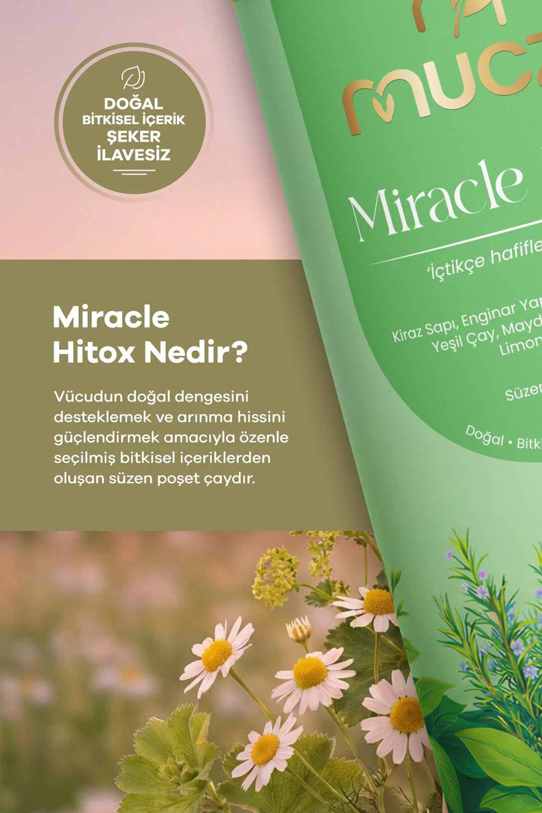 Bitkisel Detox Çayı – Enginar, Kiraz Sapı & Yeşil Çay İçerikli