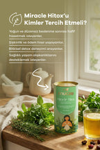 Bitkisel Detox Çayı – Enginar, Kiraz Sapı & Yeşil Çay İçerikli